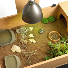 Load image into Gallery viewer, Habistat Tortoise Table