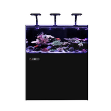 Load image into Gallery viewer, Maxspect Lagoon Smart Marine Aquarium LS-120