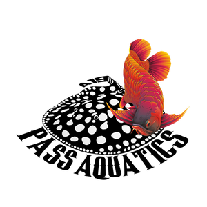 PASS Aquatics & Reptiles