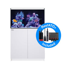 Load image into Gallery viewer, Red Sea Reefer G3+ 250 Deluxe Aquarium