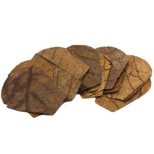 Load image into Gallery viewer, Hobby Nano Catapa Leave 12pk