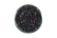 Load image into Gallery viewer, CaribSea Live Sand Hawaiian Black 20lb