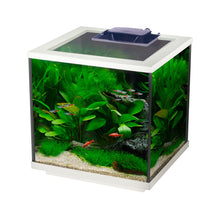 Load image into Gallery viewer, Interpet Aqua Cube LED 28L