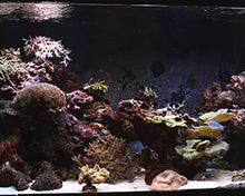 Load image into Gallery viewer, Interpet Tri-Spec 2 LED Plant Lights