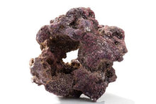 Load image into Gallery viewer, Caribsea LifeRock