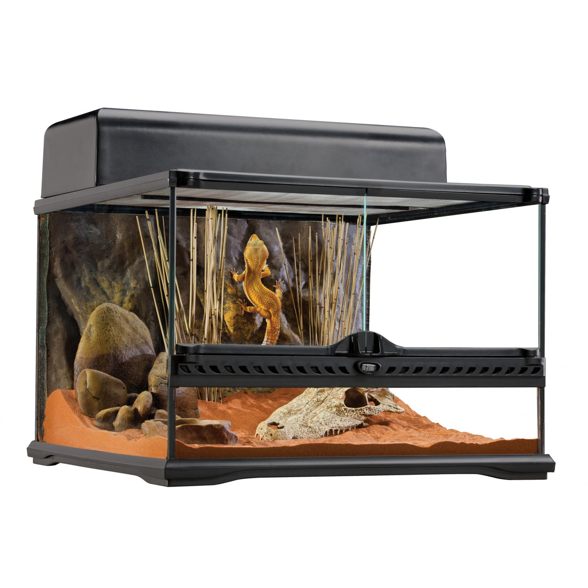 Exo Terra Terrarium Small – PASS Aquatics & Reptiles
