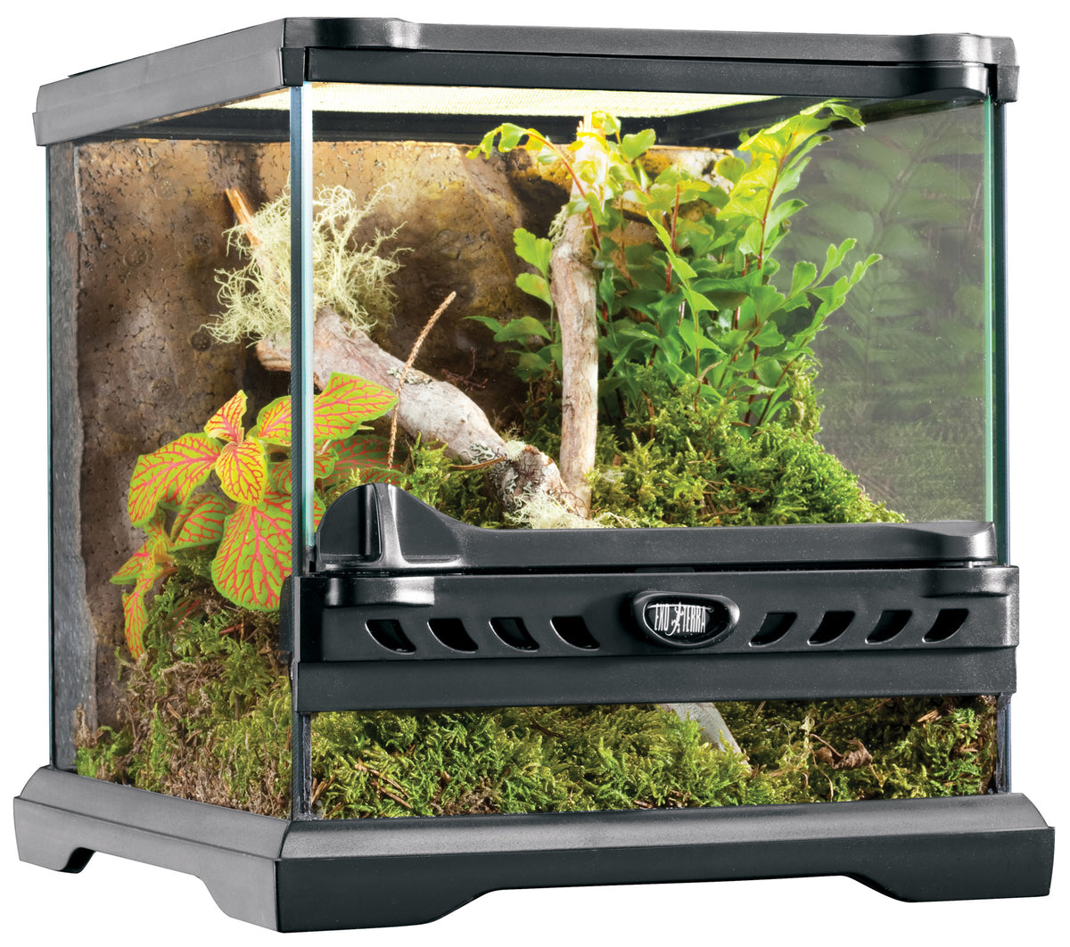 Exo Terra Terrarium Nano – PASS Aquatics & Reptiles