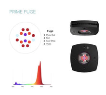Load image into Gallery viewer, AI Prime 16HD Fuge LED lights Black