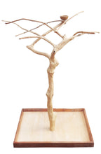 Load image into Gallery viewer, Java Tree