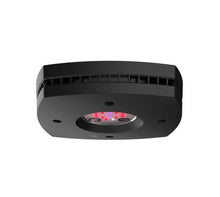 Load image into Gallery viewer, AI Prime 16HD Fuge LED lights Black