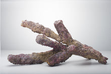 Load image into Gallery viewer, Caribsea LifeRock