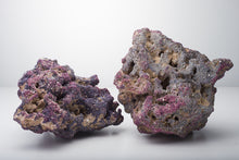 Load image into Gallery viewer, Caribsea LifeRock