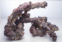 Load image into Gallery viewer, Caribsea LifeRock