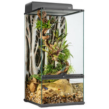 Load image into Gallery viewer, Exo Terra Terrarium Small