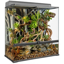 Load image into Gallery viewer, Exo Terra Terrarium Large