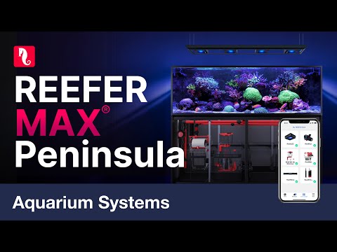 Red Sea Reefer Max G2+ Peninsula 950 Aquarium