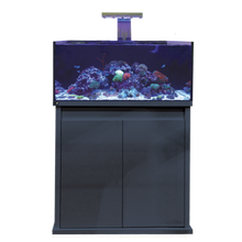 Load image into Gallery viewer, D-D 900s Pro Reef
