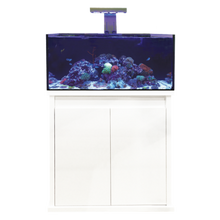 Load image into Gallery viewer, D-D 900s Pro Reef
