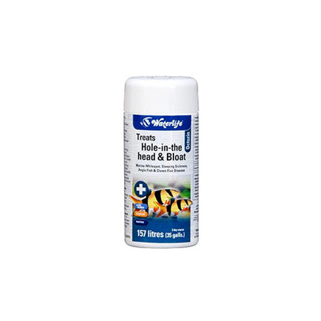 Waterlife Hole-in-the Head & Bloat Octozin 21 Tablets