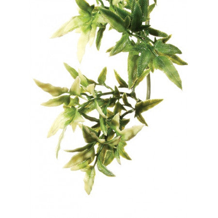 Exo Terra Jungle Plant Croton