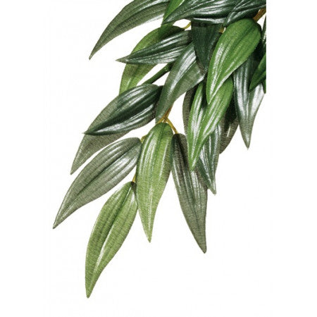 Exo Terra Jungle Plant Ruscus Silk