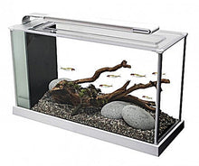 Load image into Gallery viewer, Fluval Spec 19 Litre Aquarium
