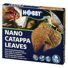 Load image into Gallery viewer, Hobby Nano Catapa Leave 12pk
