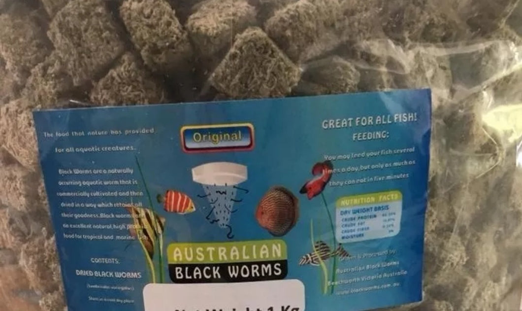 Freeze Dries Ausrralian Blackworm 25g