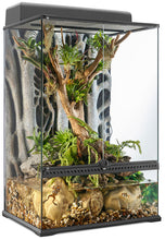 Load image into Gallery viewer, Exo Terra Terrarium Medium
