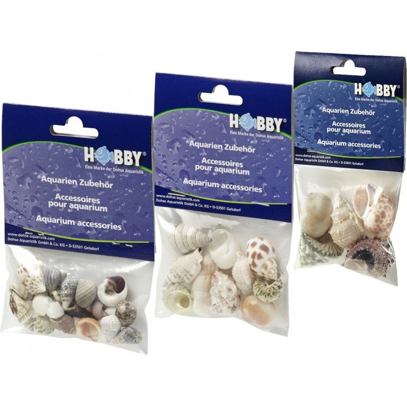 Hobby Sea Shells Set