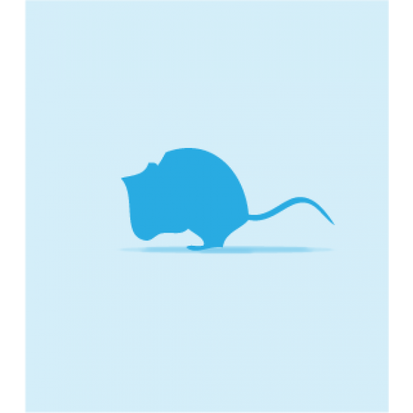 Frozen Food Medium Mice 10pk