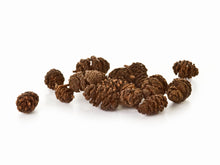 Load image into Gallery viewer, Hobby Alder Cones 50pk
