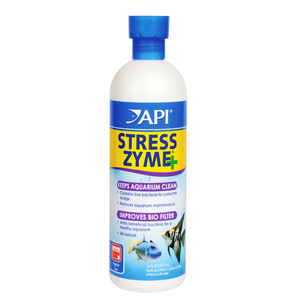 API Stress
