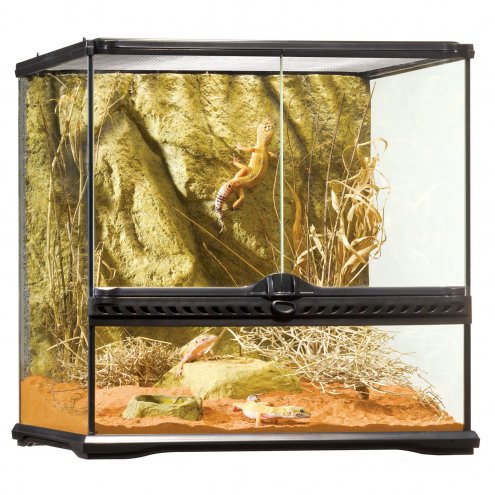 Exo Terra Terrarium Small – PASS Aquatics & Reptiles