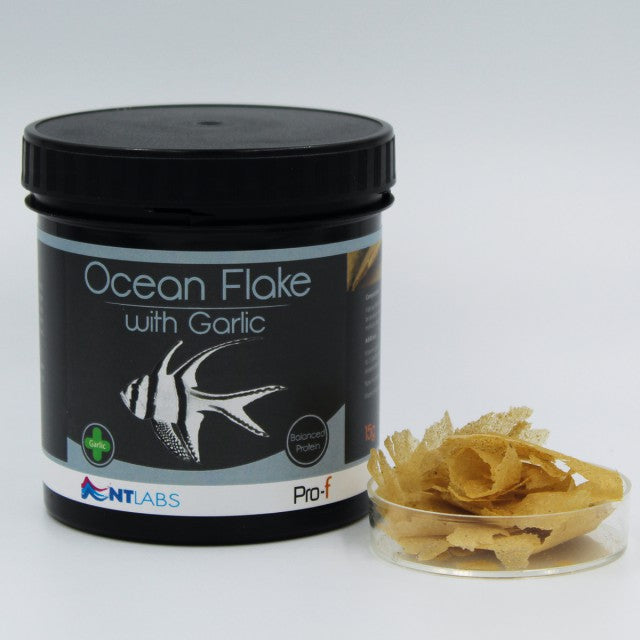 NTLABS Ocean Flake with Garlic
