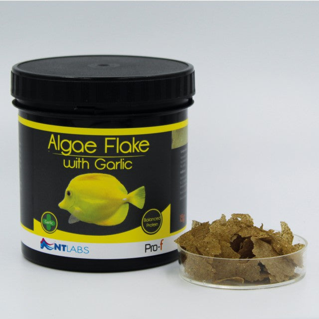 NTLABS Algae Flake with Garlic